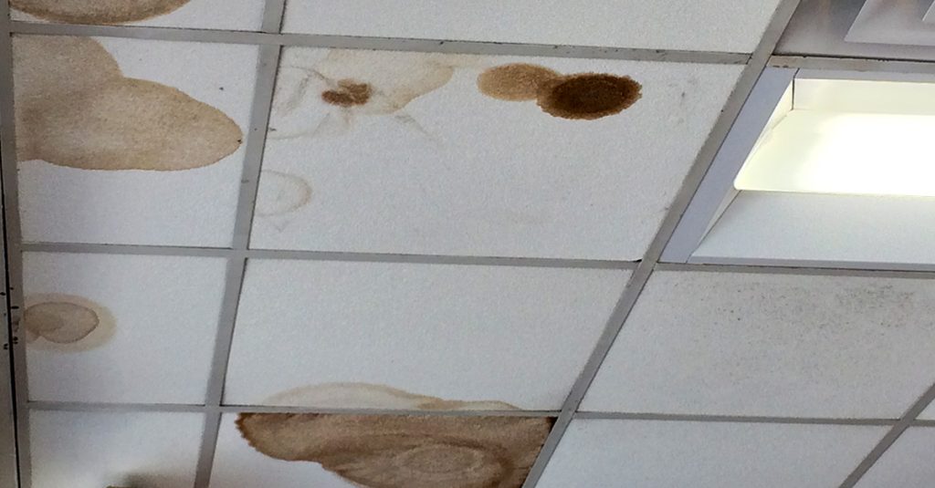 The dangers of mold growth from a leaky roof